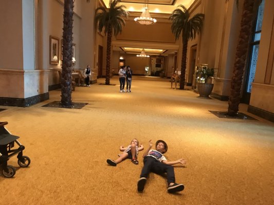 Пальмы внутри отеля