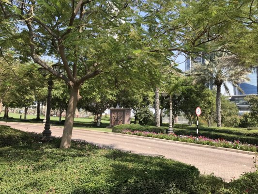 Территория отеля