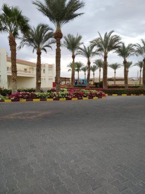 Территория отеля