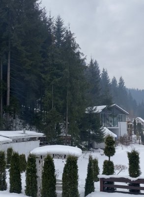 Задний двор